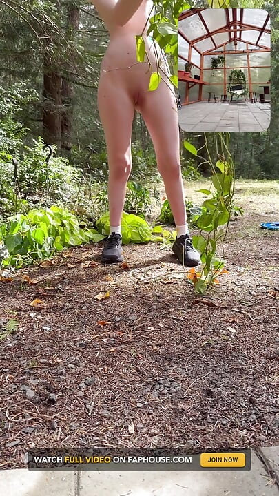 Setting up the Green House