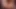 Veronica Rodriguez Squirts on Teens Face
