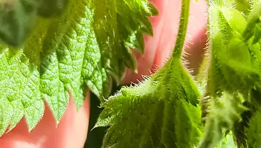 Close up nettles Cock tease