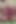 Blowjob and close-up