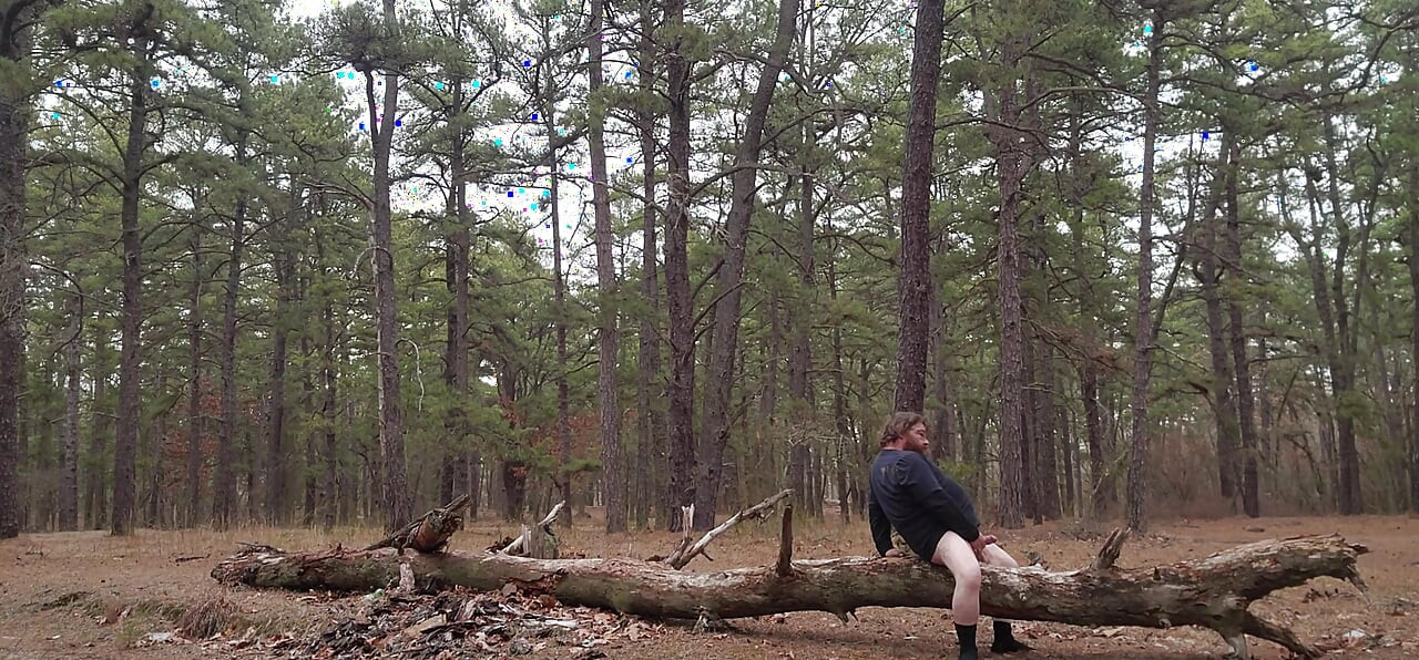 More of out in the woods