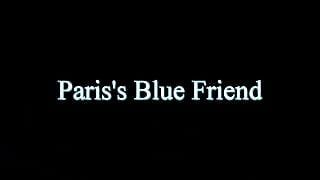 Der blaue freund von paris