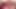 Latest Live Sex Show on Stripchat, Gigi and Dave, Shemale and Man Couple, POV, Behind the Scene, Webcam Sex, 28.06.2025 Ep2