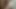 Big dick head cumshot