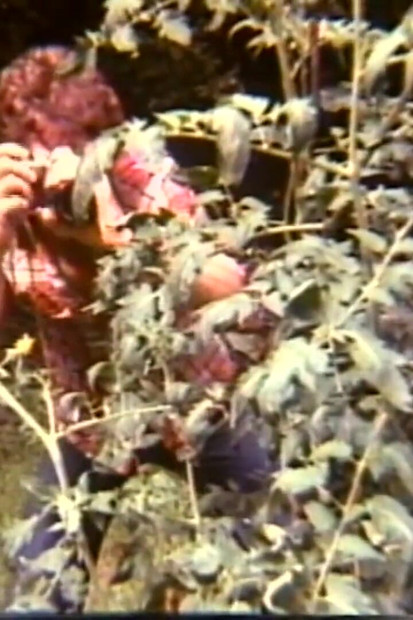 Arcadia Lake and Eric Edwards Each Other