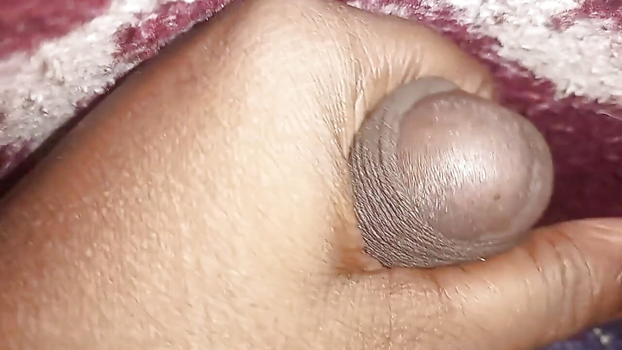 デジ・ディック