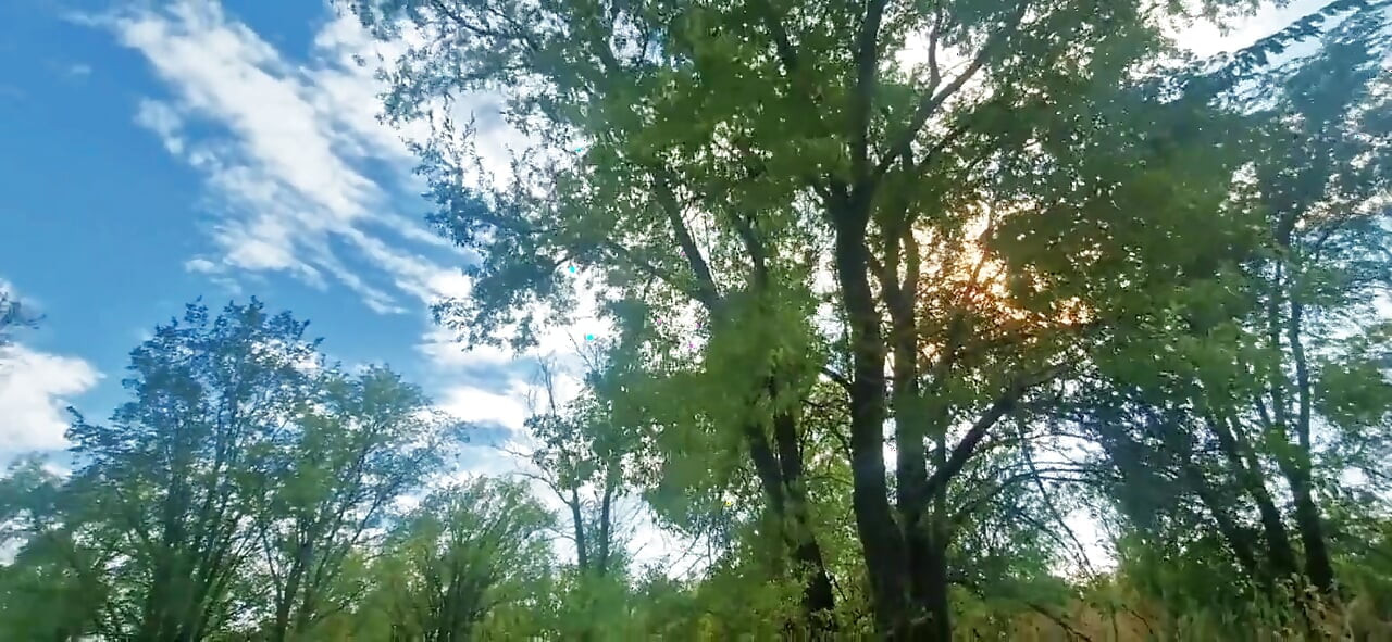 I Can't Hold Back My Cum Anymore-i'm Going to Cum in Your Mouth in Hot Spurts of Explosive Cum!