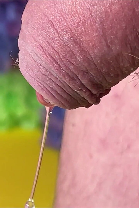 O coelhinho da Páscoa coloca seus ovos 1