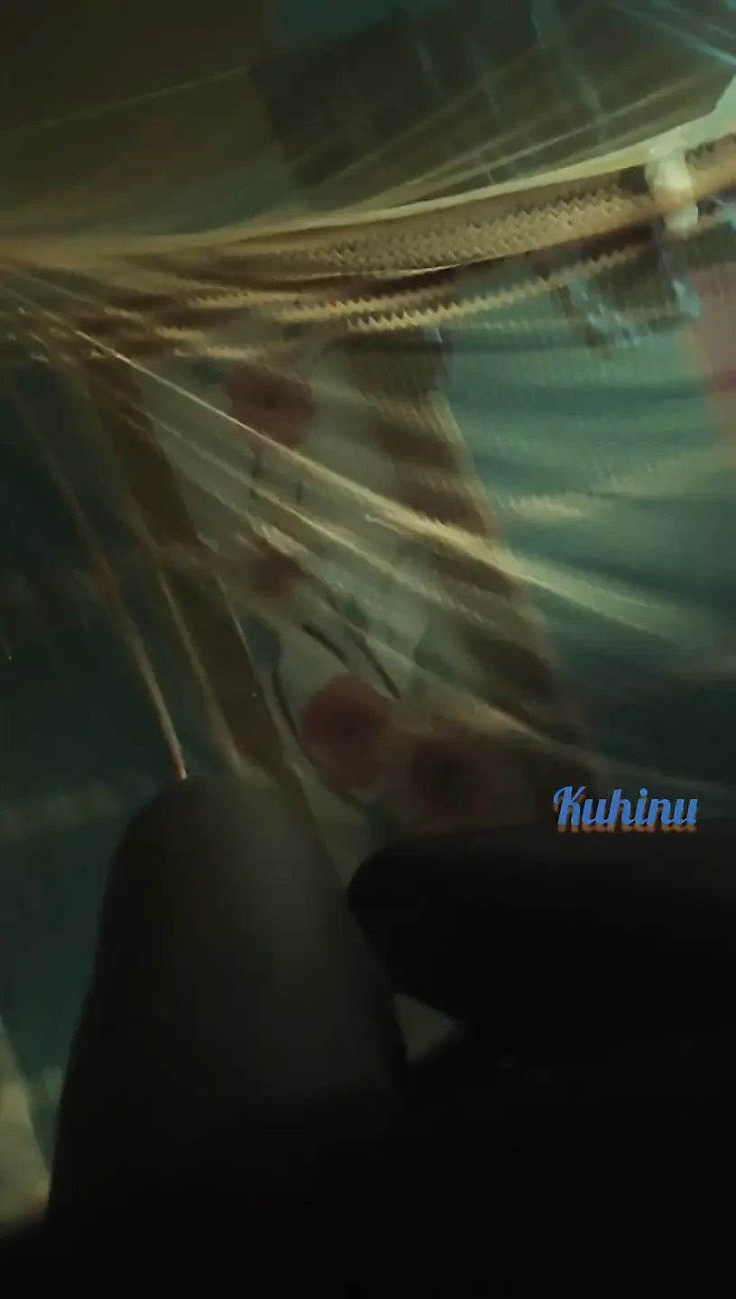 在雨天晚上操逼的幸福