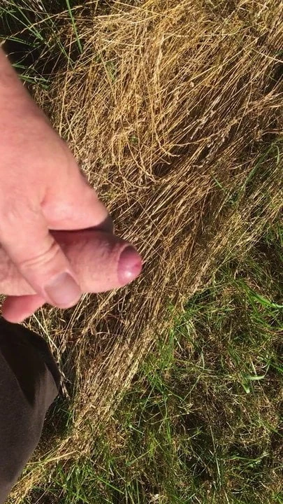 Outdoor wixen