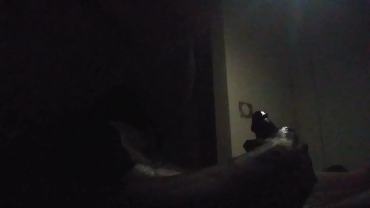 スキットルズ916