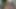 WTF療法