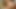 Busty blonde she-male sucked and fucked.
