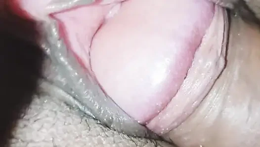 Pinke nahaufnahme muschi- und schwanz-sex