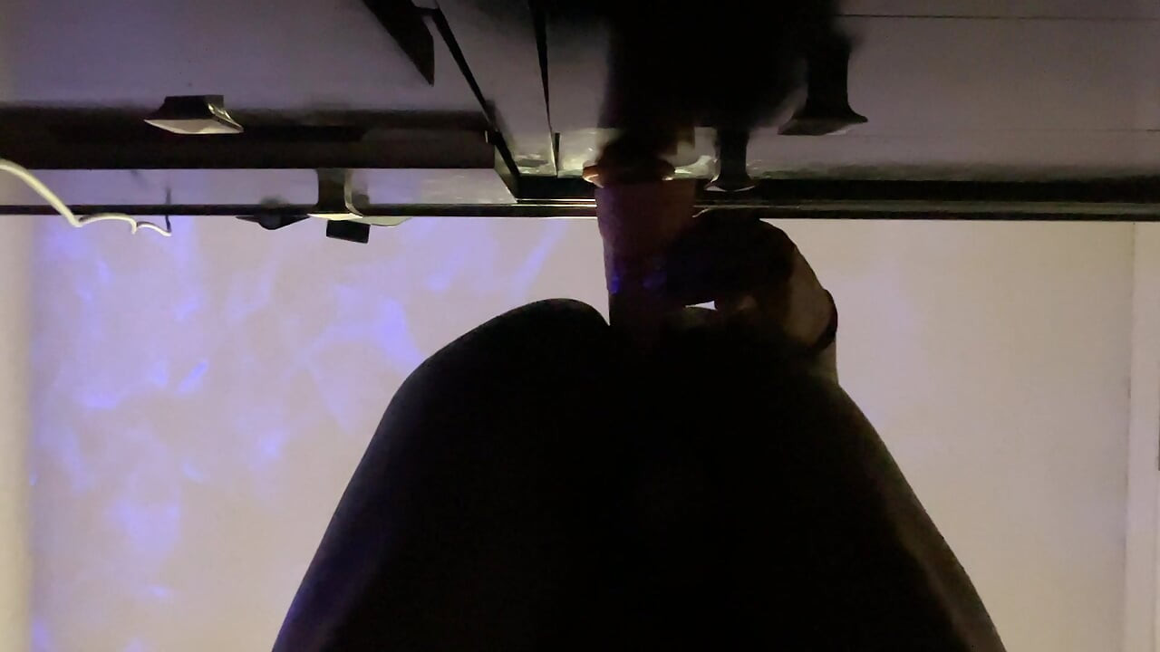 Black Booty POV szóló 10 hüvelykes kövér játék kutyapózban