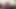 Horny lesbian plumpers Angelina and Amazon Darjeeling wanks