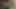 On morning bed masturbation in Indian village boy chuppy