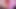 パンティストッキング姿のセクシーなレディバグの体