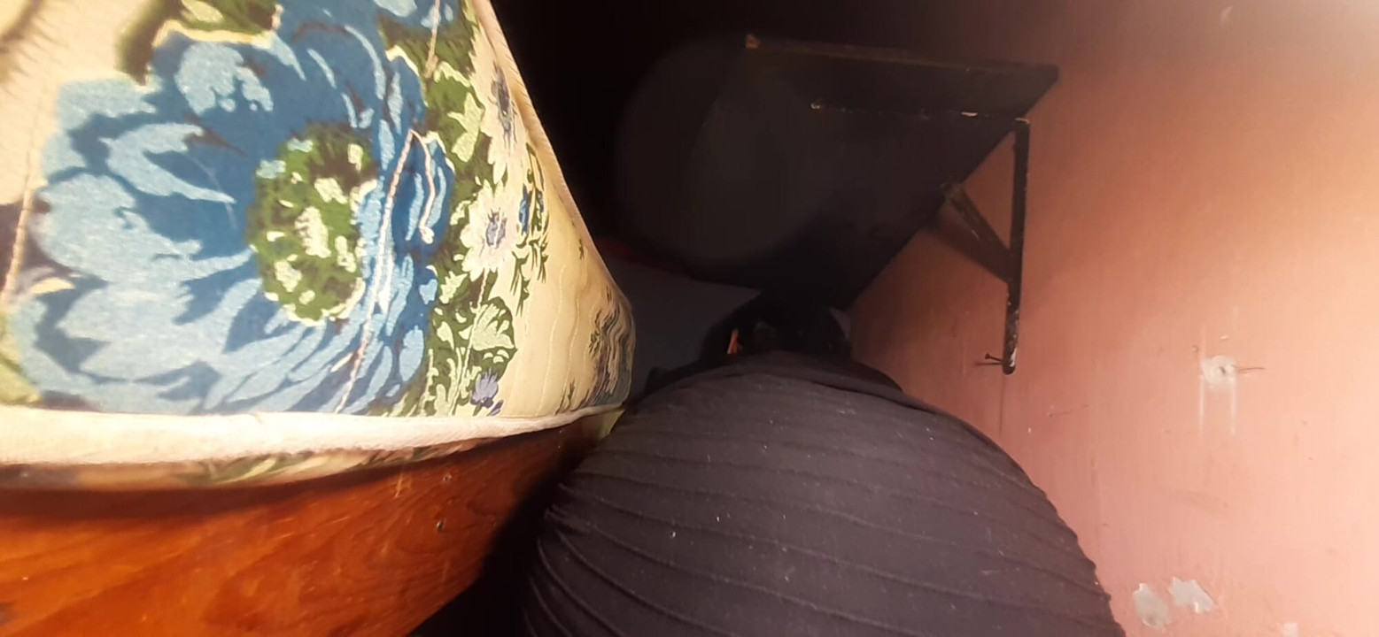 Mijn kont in minirok