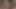 パリの白で新しいもの