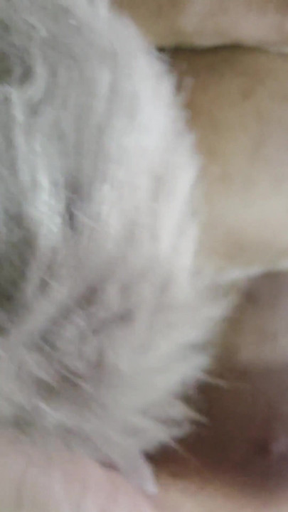 बट प्लग टेल के साथ खेलें! । क्लिप 1