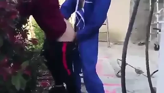 Bir iş molası