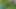 Glossy Downjacket Forest Tease. Outdoor Oral Energy and Messy Jacket Finish