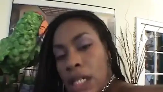 Hot black slut gets screwed in the library