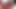 Short hair femboy in red stockings fondles cock and nipples