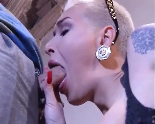 Big cock in pussy big cock in ass...threesome sex