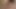 Chickpass - isabella kullanışlı bir sıcak pov oral seks verir