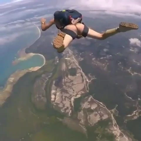 Wild dick