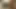 Diverse amateur compilation with heavy oral, vaginal and anal