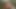 Solo hottie Margo Von Tesse masturbating with a sex toy in the woods in 4K.