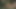 Vintage Loop 017