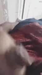 indian guy Nabynas Nazar Masturbate