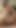 I spit on my big cock and then jerk off