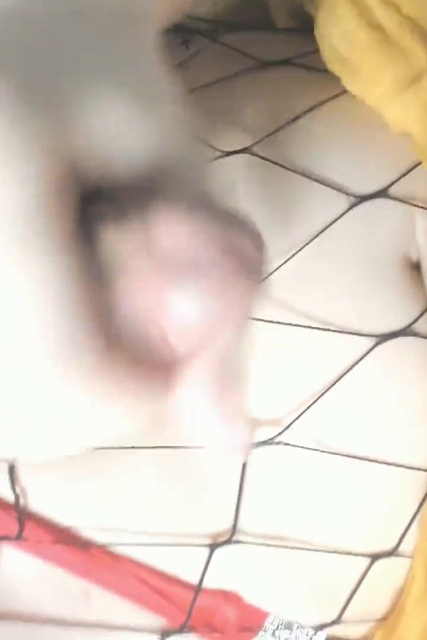 Cock All Over Me