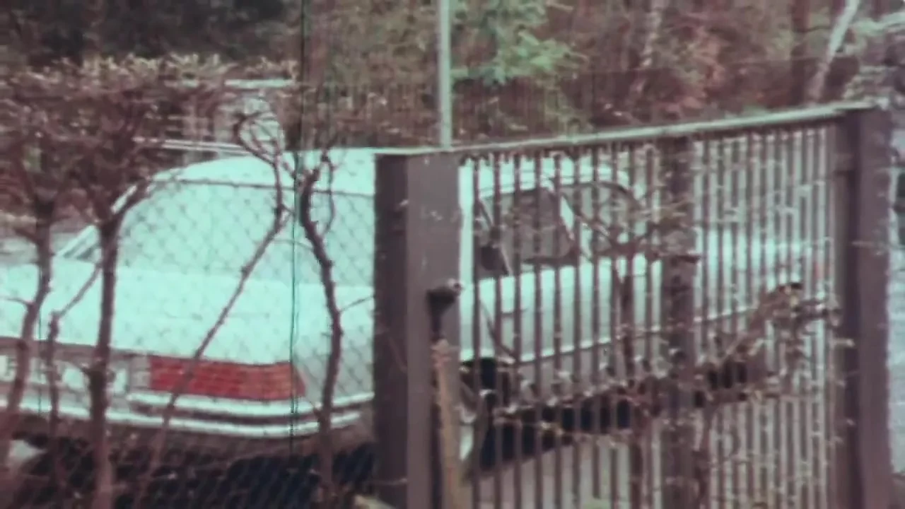 mnbr-23