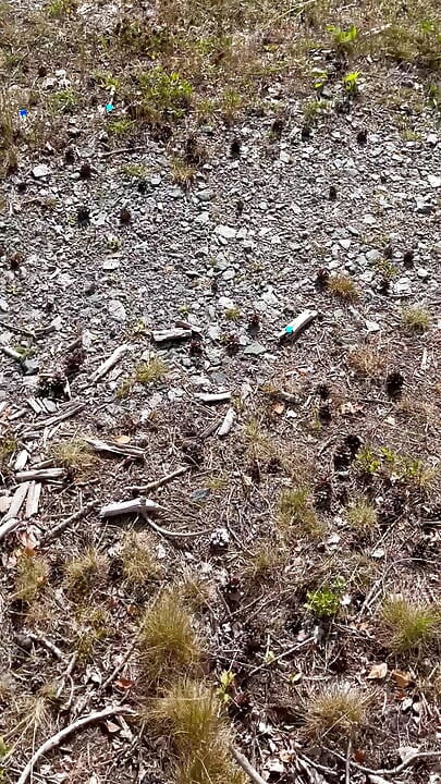 Melancap di dalam hutan dalam perjalanan basikal