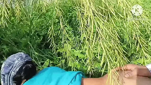 fucked my sister-in-law in doggy style in a mustard field on the ganga  bank.