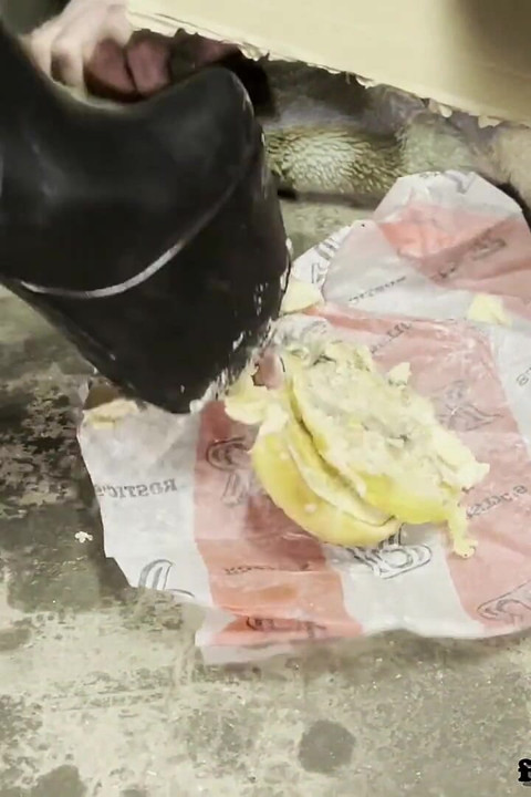 Lola Feeds a Passerby