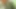 Indian Couple Passionate Romance