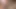 Abbas - a very hairy Turkish Bear with a thick Mustache and