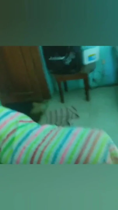 Emotional moment from "Strong anal creampies for my young slutty stepsister"