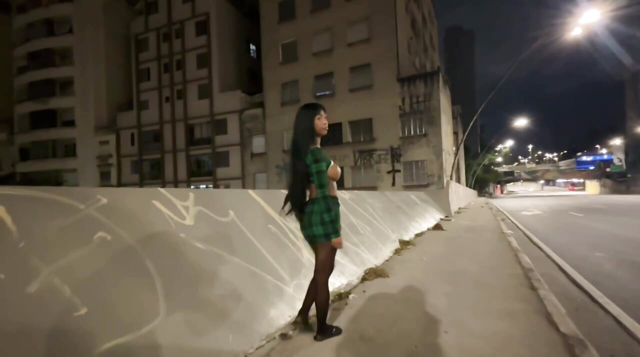 Sexo en una de las avenidas más transitadas de Sao Paulo