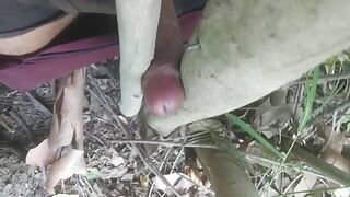 L'albero del ragazzo di bachelor nella foresta video di sesso