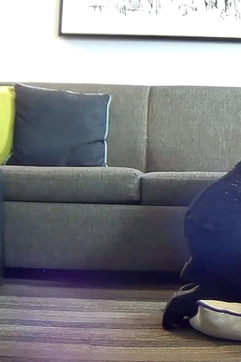 Bts Italian American Girl Sucks Her First Black Cock