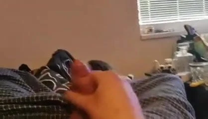Young bear cum