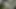 Asya işeme